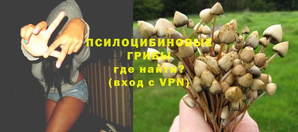 прущий лед Няндома