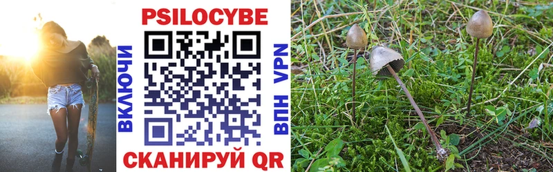 купить наркотик  Чита  Псилоцибиновые грибы Psilocybe 